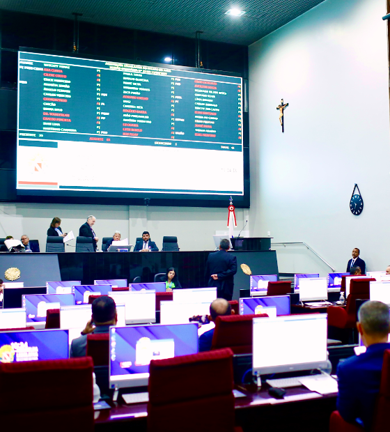 Alepa aprova programa para depressão perinatal e reconhece novos patrimônios culturais