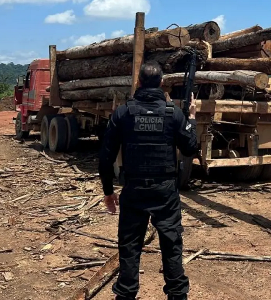 Homem é preso pela Polícia Civil, em Rondon do Pará, por crime ambiental