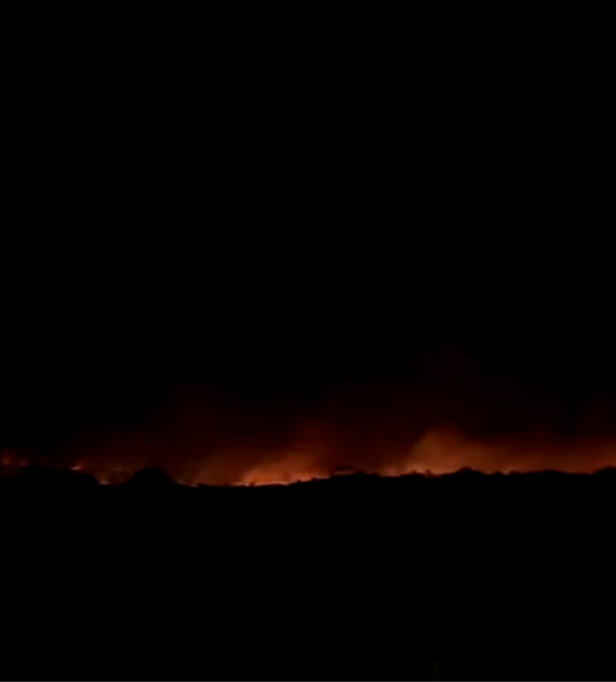 Incêndio atinge fazendas e já destruiu 8 km de área no sul do Pará