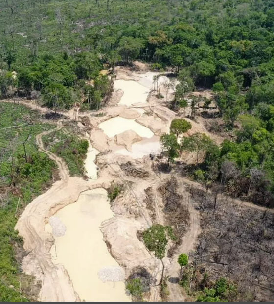Ideflor-Bio discute implementação do Plano de Recuperação e Gestão da APA Triunfo do Xingu