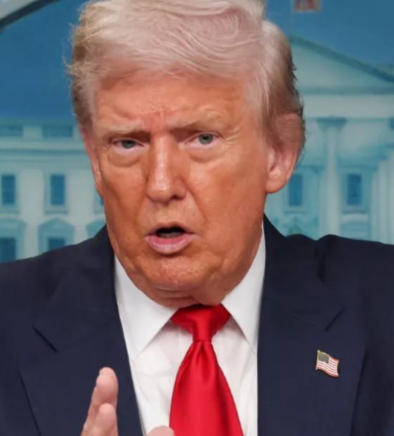 Tarifaço é ineficaz até para americanos, diz economista de Harvard