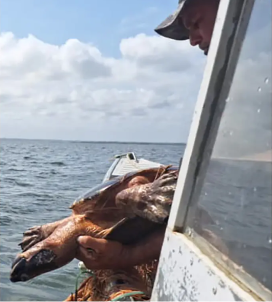Comando de Policiamento Ambiental apreende materiais de pesca ilegal 
