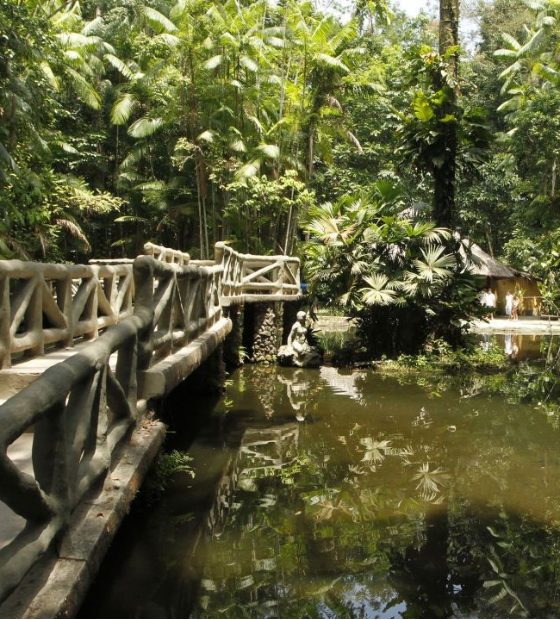 Bosque Rodrigues Alves celebra 142 anos com programação especial