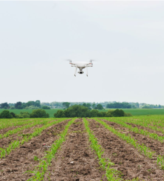 Moradores de Dom Eliseu denunciam pulverização de agrotóxicos 