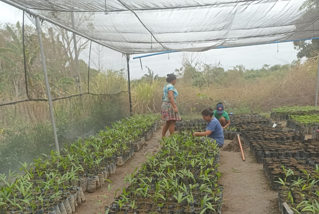 Parcerias reforçam compromisso com a sustentabilidade