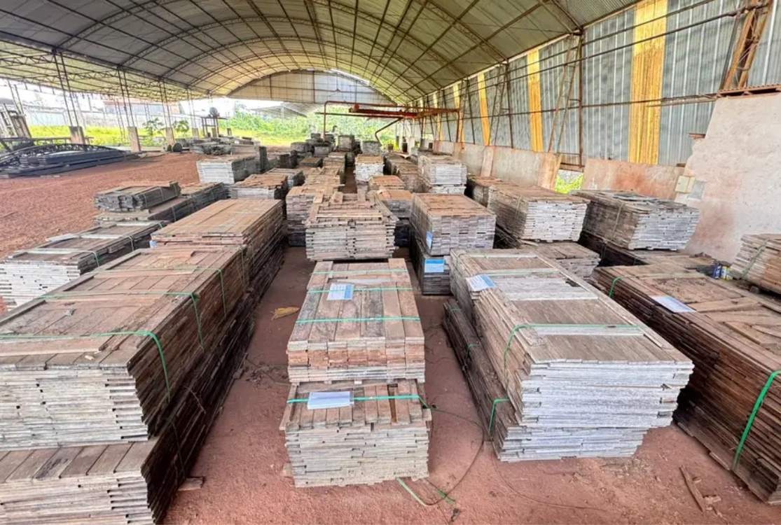 Estado realiza leilão de madeira apreendida em fiscalizações neste sábado, 6