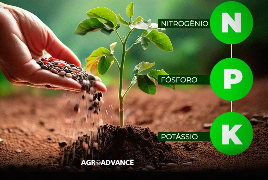 Agro em risco: “Basta segurar o NPK para parar o Brasil”, alerta senador