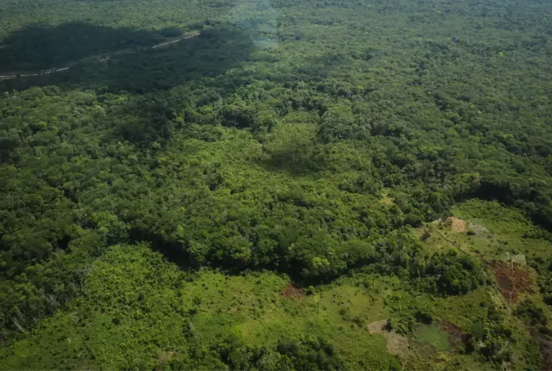 Pará registra queda histórica de 85% nos focos de queimadas entre julho e setembro