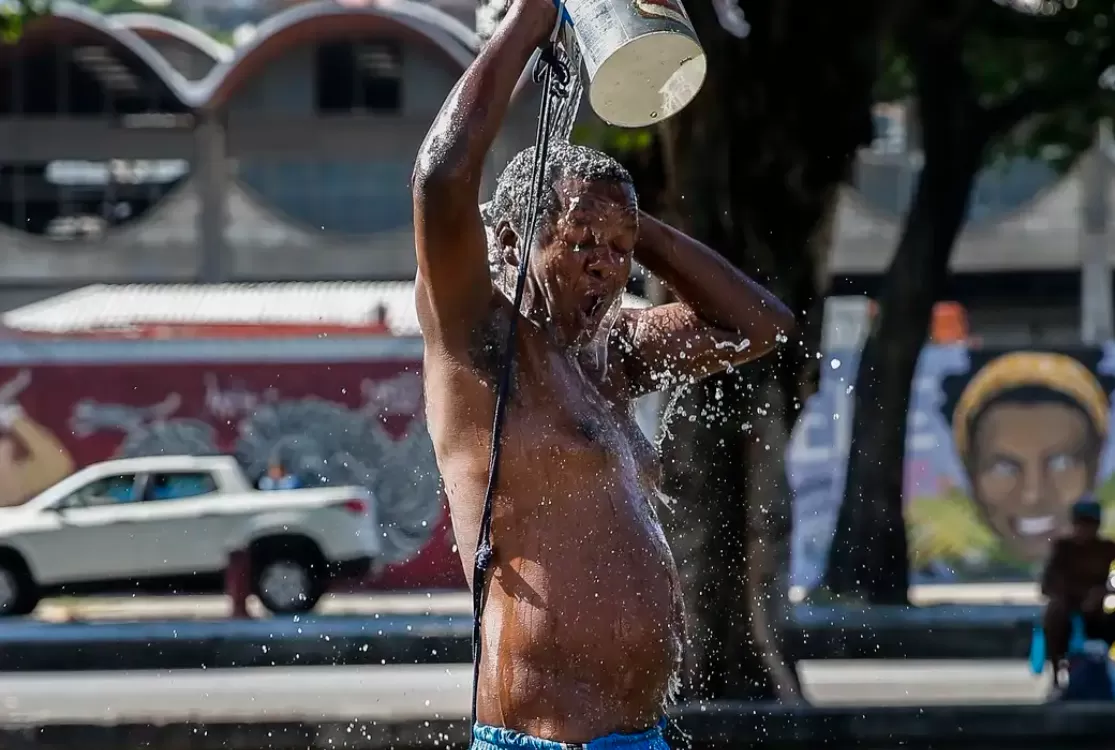 A cada minuto, uma área de 22 campos de futebol é desmatada no planeta