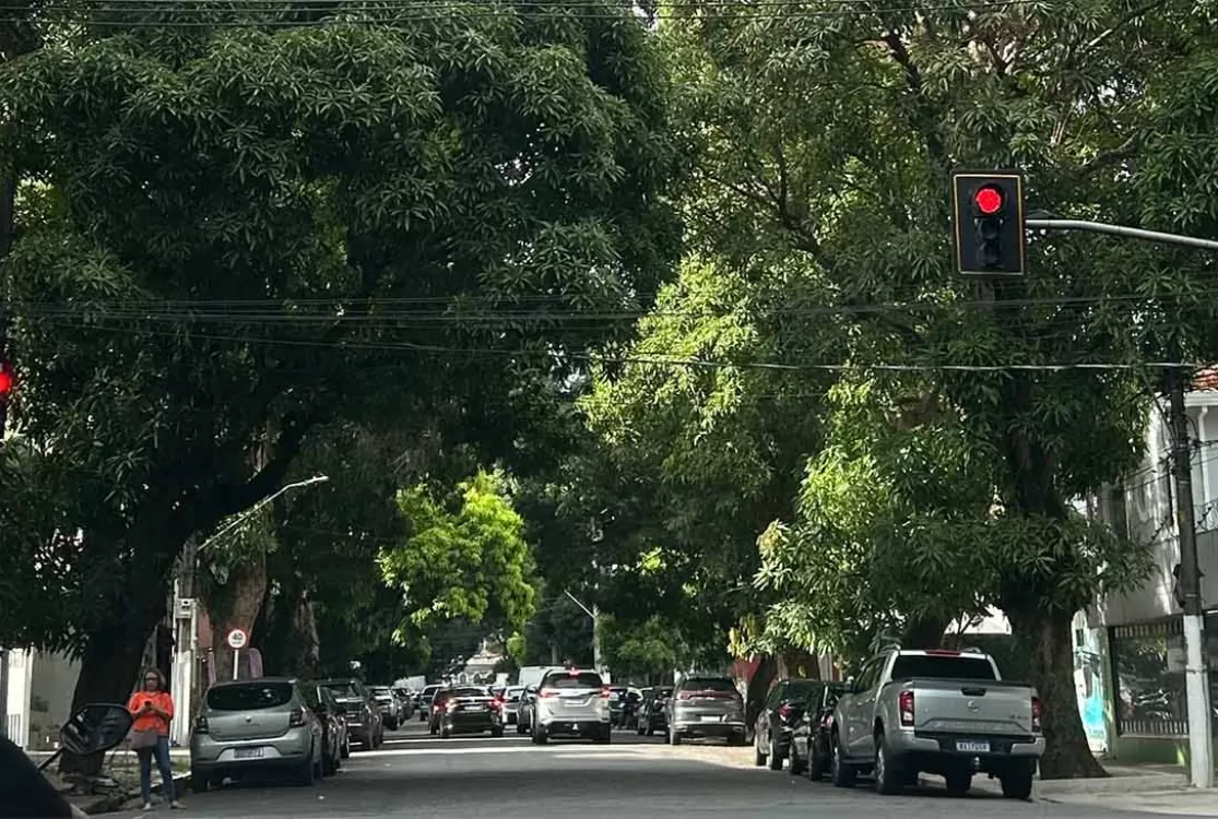 Metas tímidas travam desmatamento zero na Amazônia até 2030, diz o Imazon