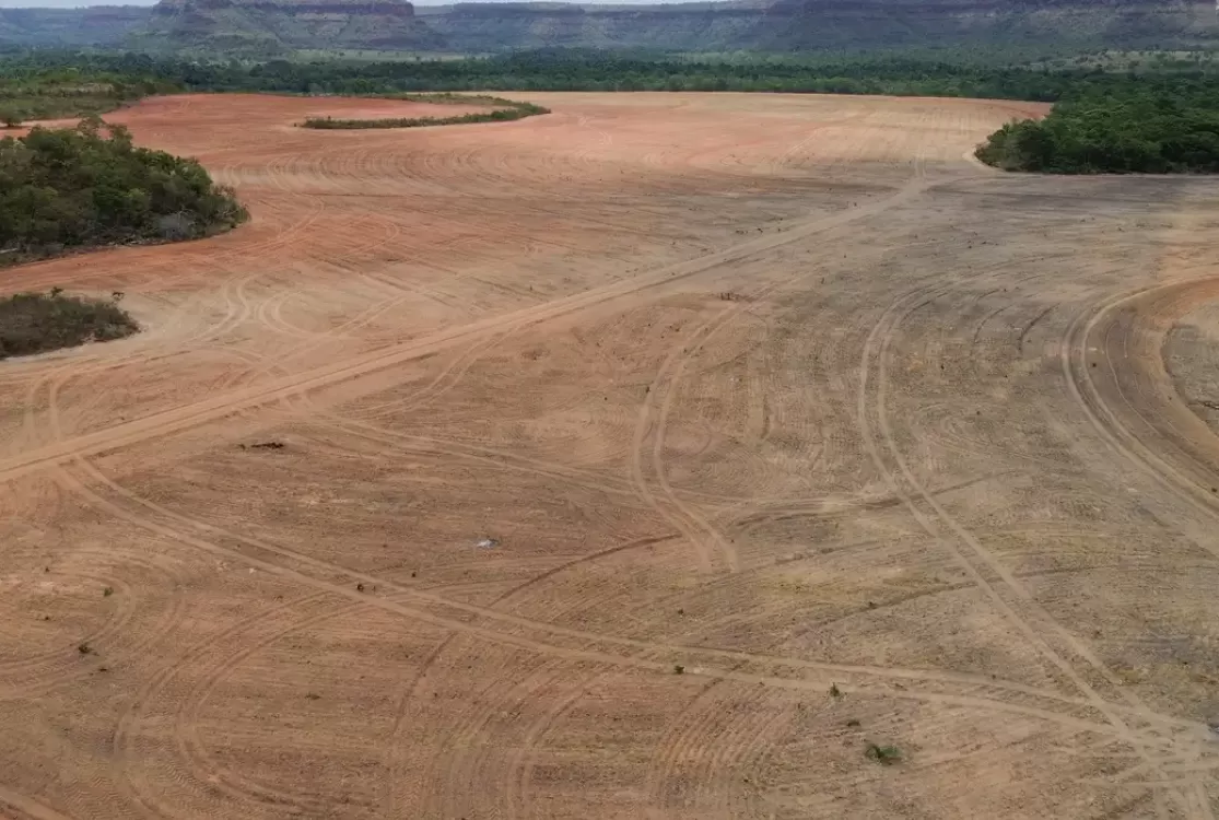 Processadoras de soja deixam acordo sobre desmatamento na Amazônia