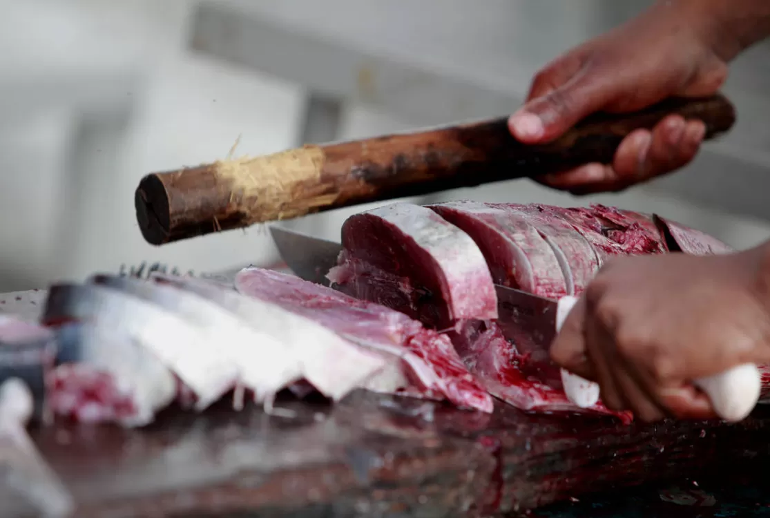 Amazonas confirma três casos da 'doença da urina preta' após consumo de pacu