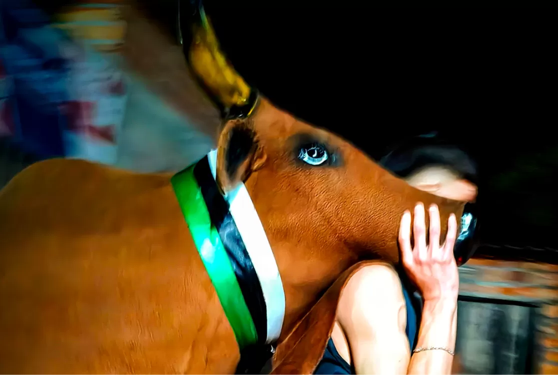 Curta rodado em São Caetano de Odivelas estreia em festival internacional de cinema