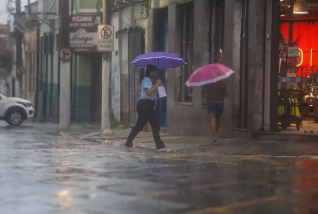 Alerta: incidência excessiva de chuvas aumenta riscos de leptospirose