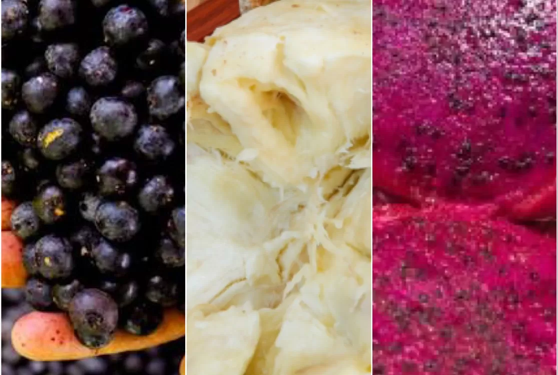 Açaí, pitaya e cupuaçu: conheça as frutas consideradas superalimentos