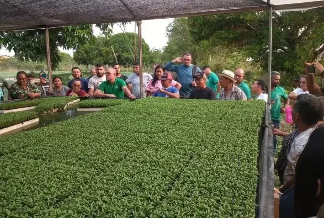 Emater-Pará inscreve hoje e amanhã em PSS com vagas de até R$ 5 mil