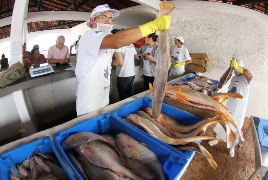 Sedap divulga tabela com preços que vão de R$ 5 a R$ 82 para a Semana do Pescado