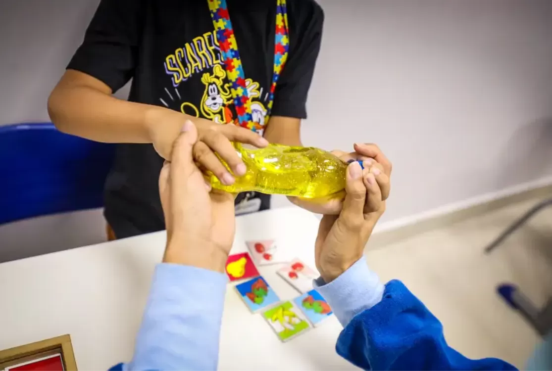 Governo do Pará lança versão digital da Carteira de Identificação da Pessoa com TEA