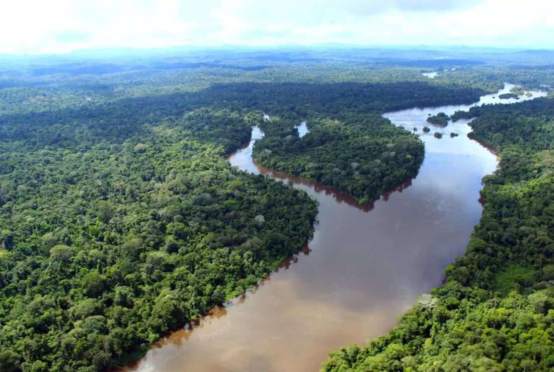 MPF recomenda suspensão imediata de venda de créditos de carbono no Pará