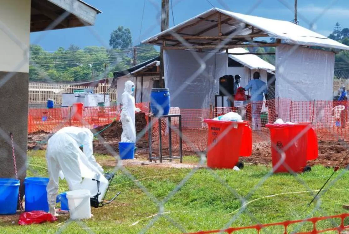 Ebola: especialistas avaliam risco de disseminação da doença e cenário no Brasil