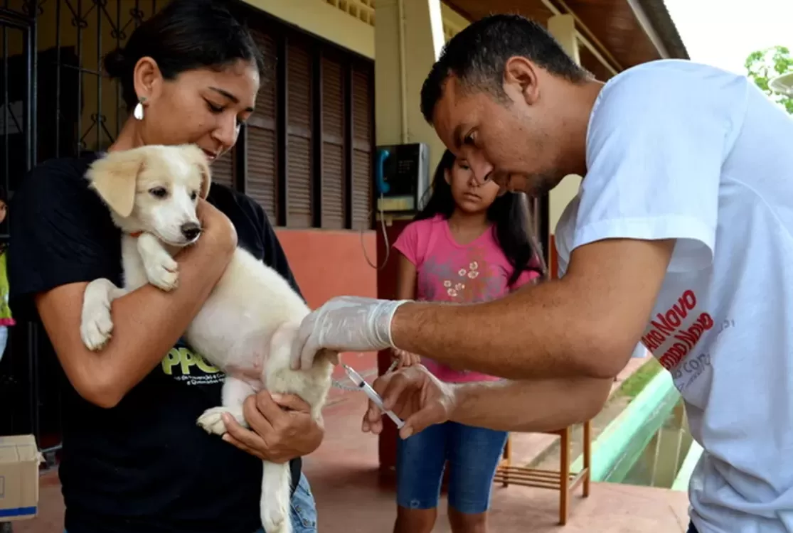 Vacinação antirrábica gratuita está disponível em Belém durante toda a semana