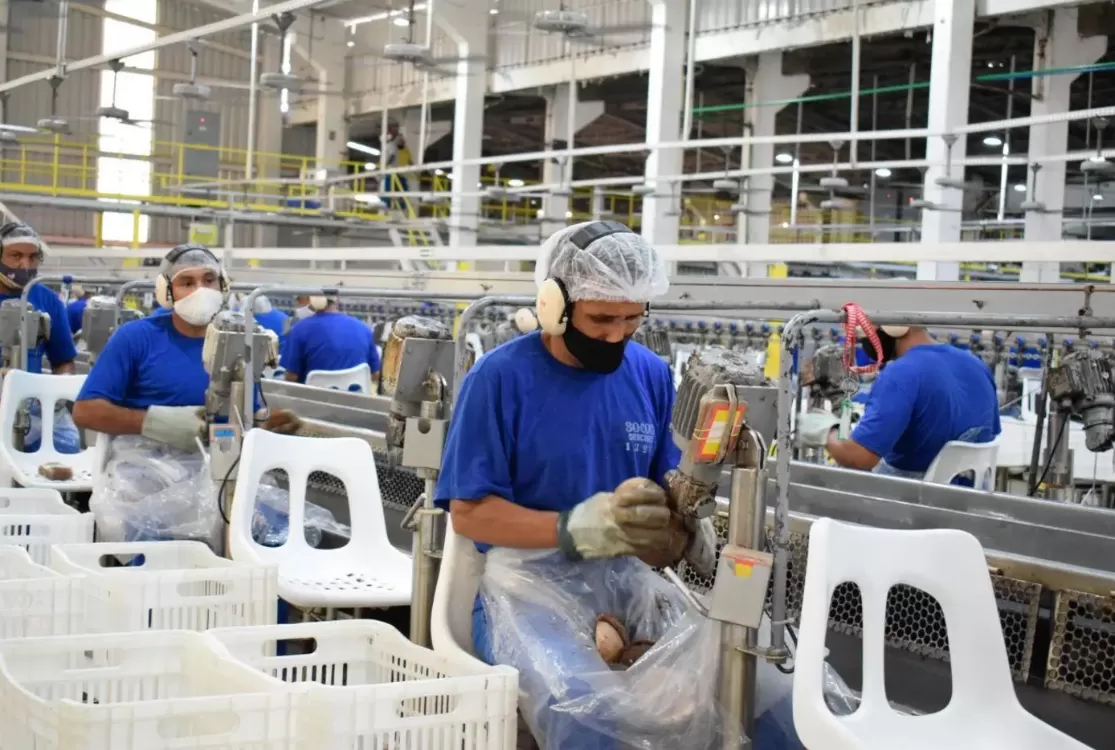 Mercado de trabalho no Pará cresce com abertura de vagas e ações de qualificação