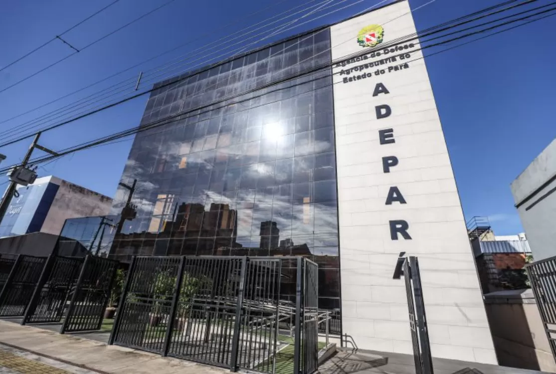 Adepará abre Processo Seletivo Simplificado para contratação no Sudeste paraense