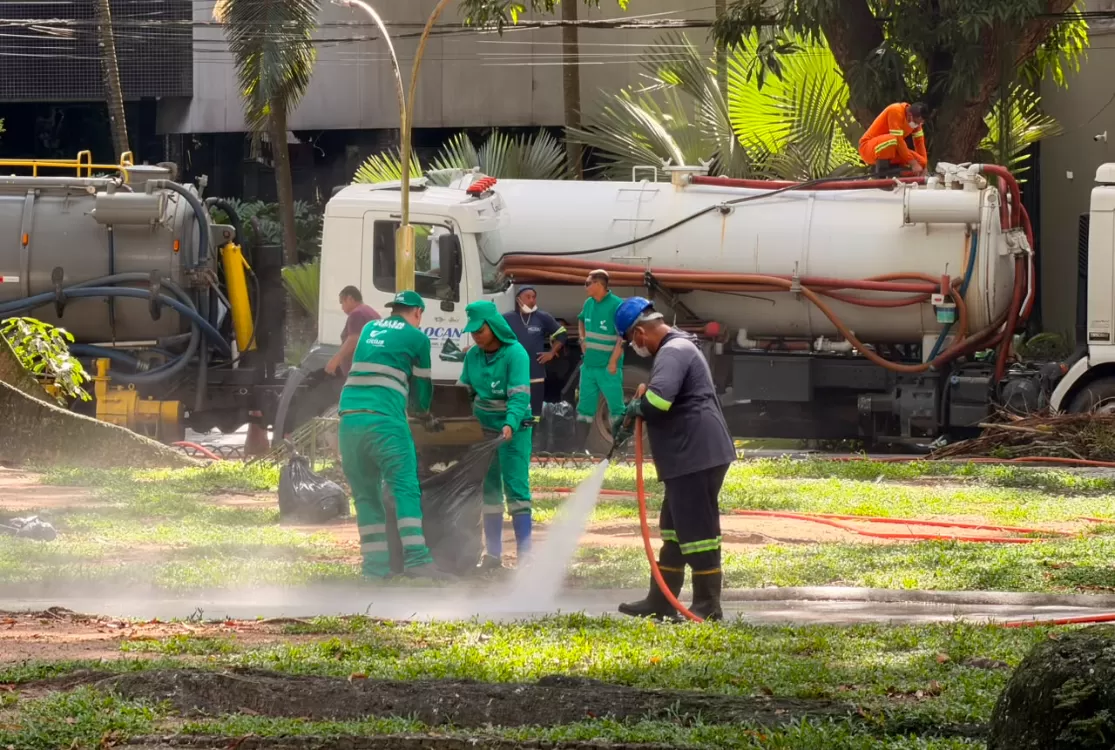 Prefeitura inicia força-tarefa para conter ação de garças na Praça Batista Campos