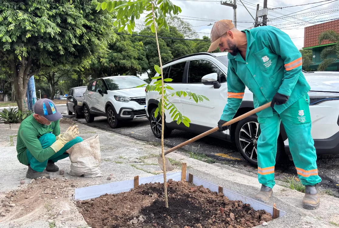 Prefeitura inicia cultivo de espécies nativas por meio do programa “Plante Aqui