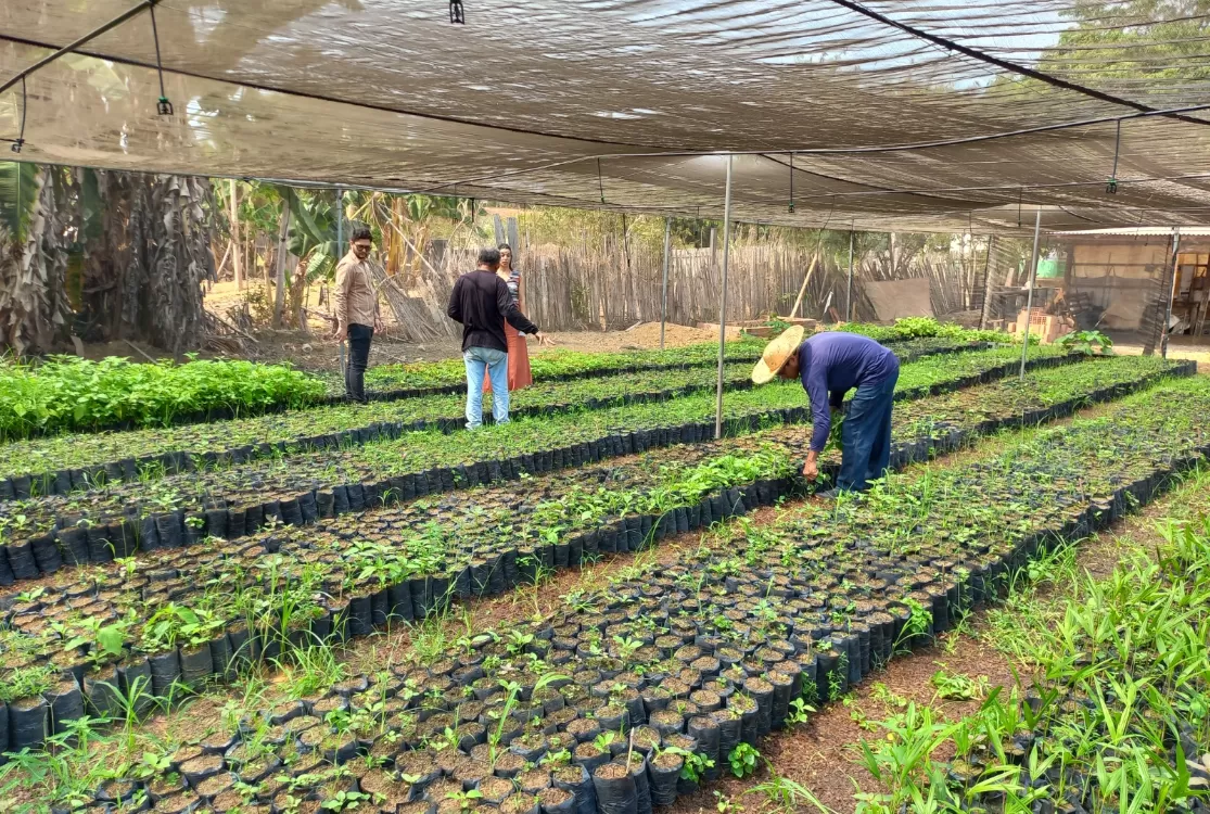 Programas fortalecem a agricultura familiar e ajudam comunidades contra a pobreza