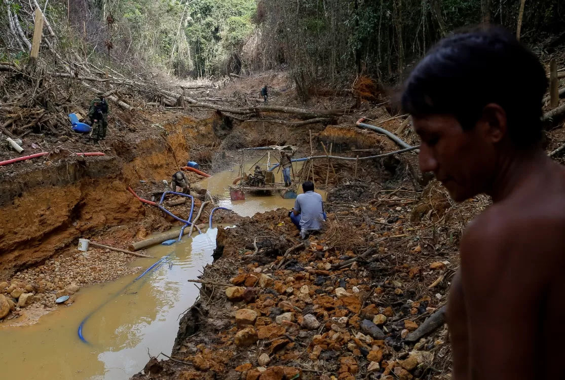 Terras raras têm presença tímida na Amazônia Legal, apesar de buscas