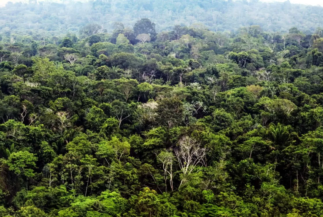 Fazenda autoriza crédito de US$ 1 bilhão do BID para Eco Invest Brasil
