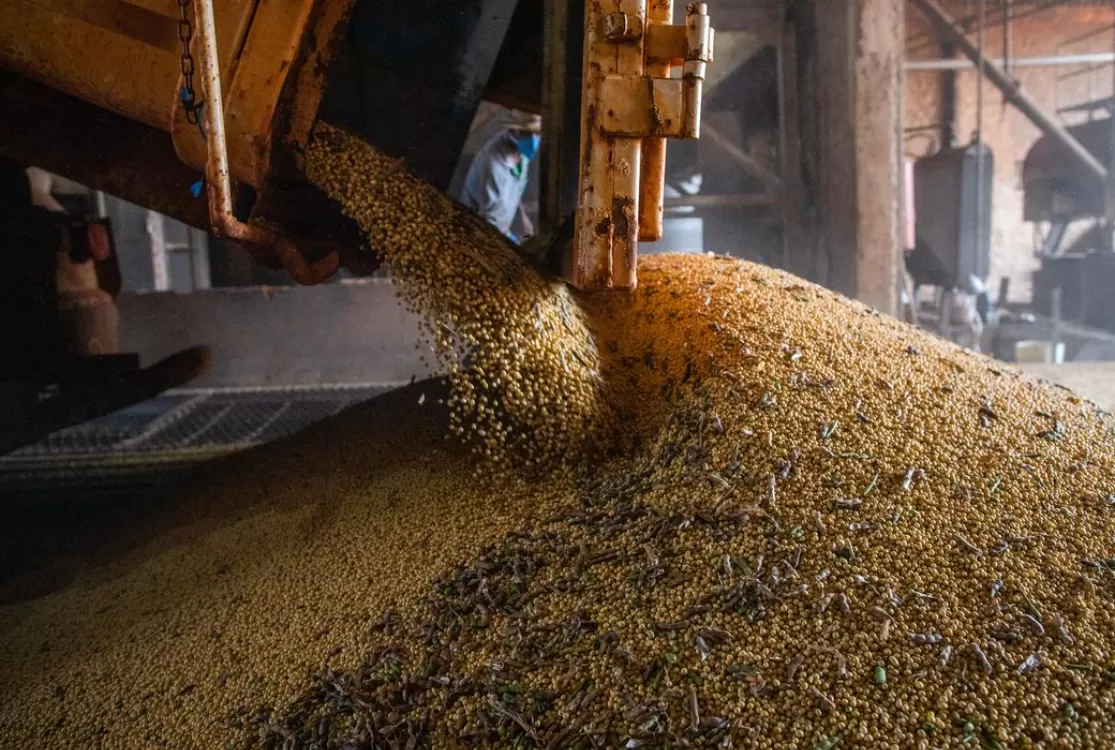 Produção brasileira de grãos deverá ser maior que no ano passado, apesar do El Niño